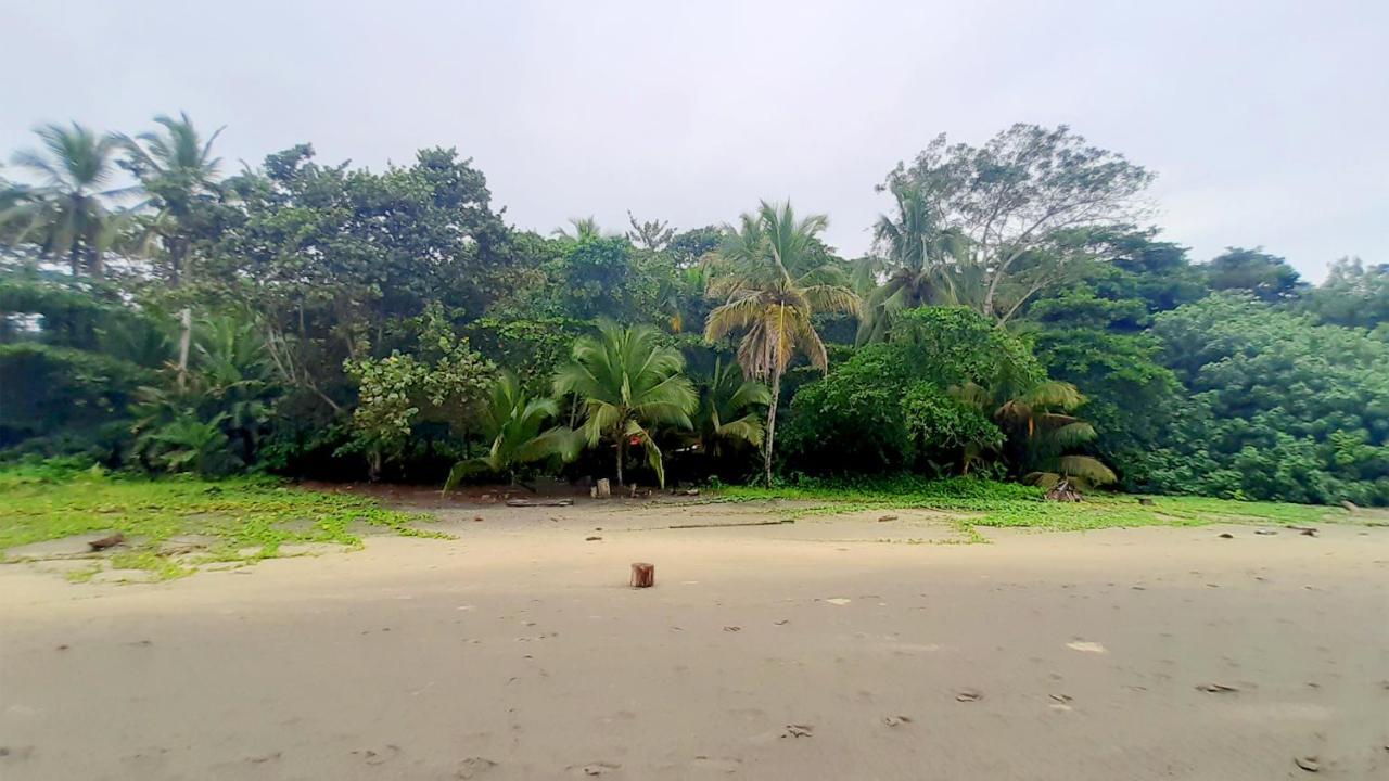 Lapalapa Beachfront Hotel Puerto Viejo de Talamanca Exterior photo