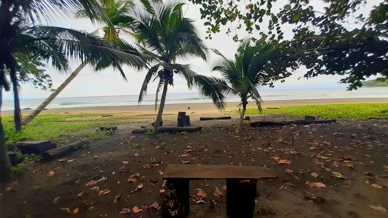 Lapalapa Beachfront Hotel Puerto Viejo de Talamanca Exterior photo