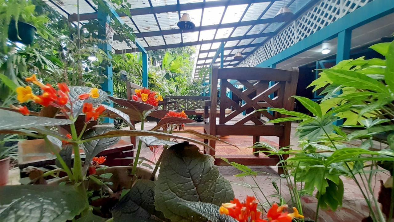 Lapalapa Beachfront Hotel Puerto Viejo de Talamanca Exterior photo